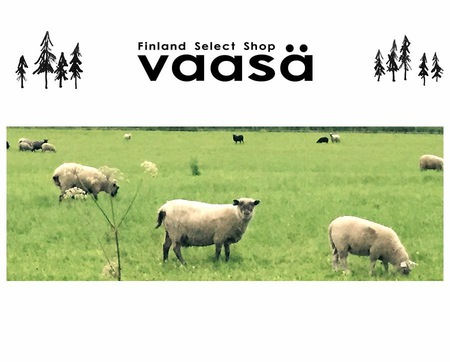 vaasaのフィンランド雑貨市