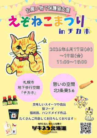 えぞねこまつりinチカホ